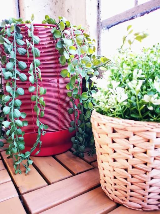 Sunny Flat 50 Meters From The Metro Apartment Milan Exterior photo